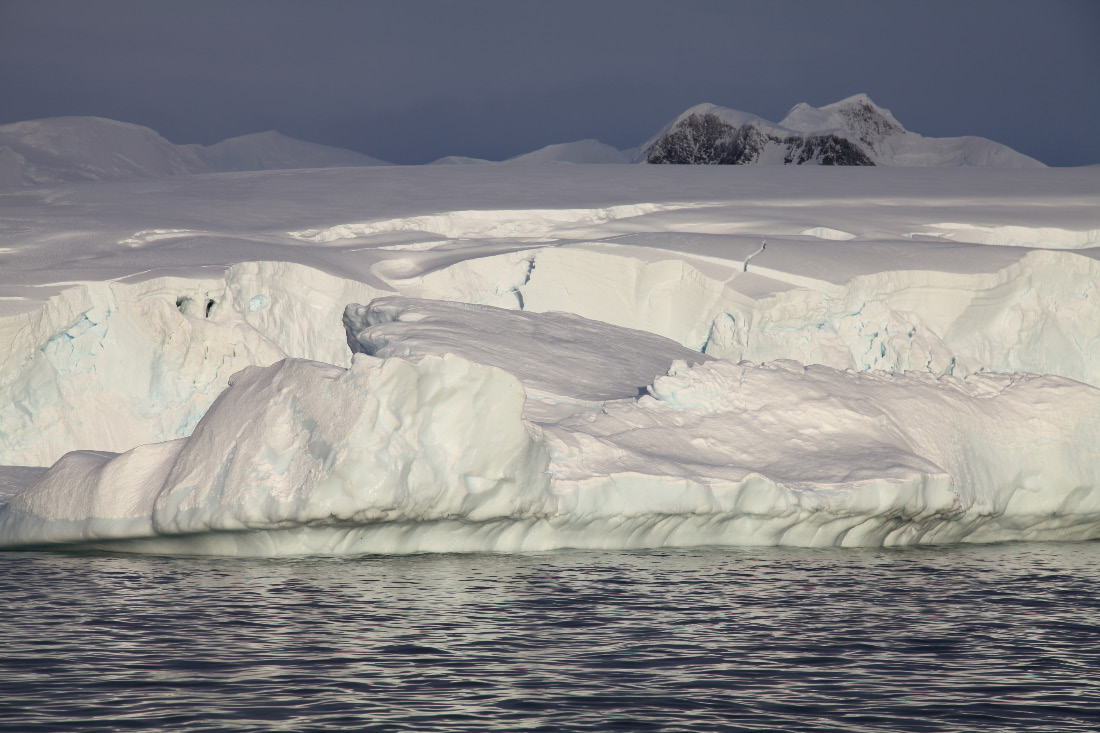 fresh ice and salt water in Wilhelmina Bay