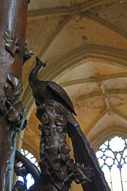 uec_be_antwerp_kathedraal_wooden_peacock