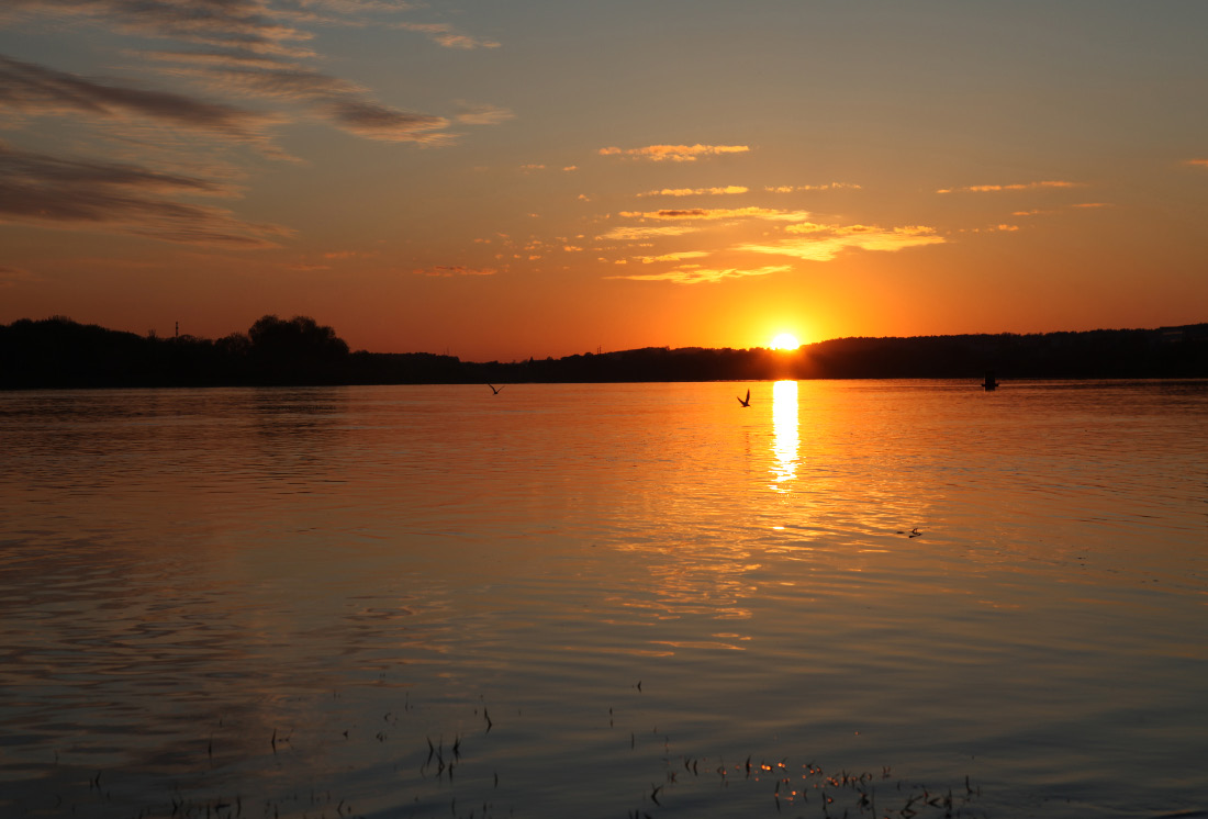 Kaunas divides the Nemunas – Memel from the Neris